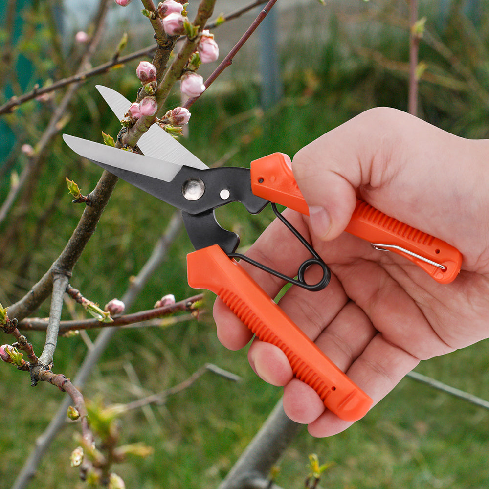 Garden fruit tree flower pruning tools scissors