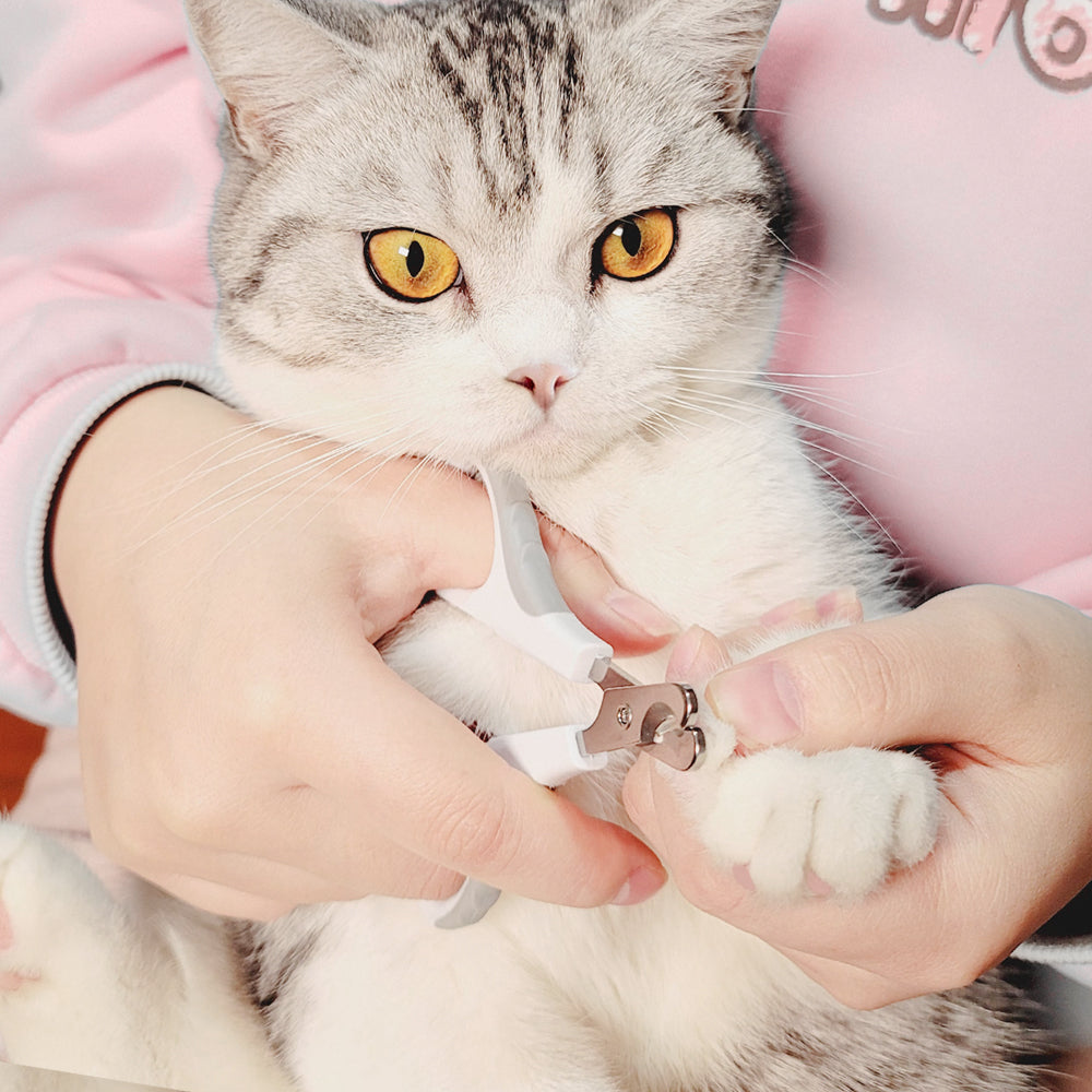 Cat nail clippers pet supplies for cats